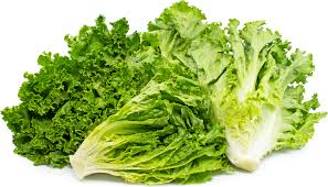 Green Leaf lettuce